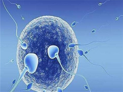 素竹生殖医学中心